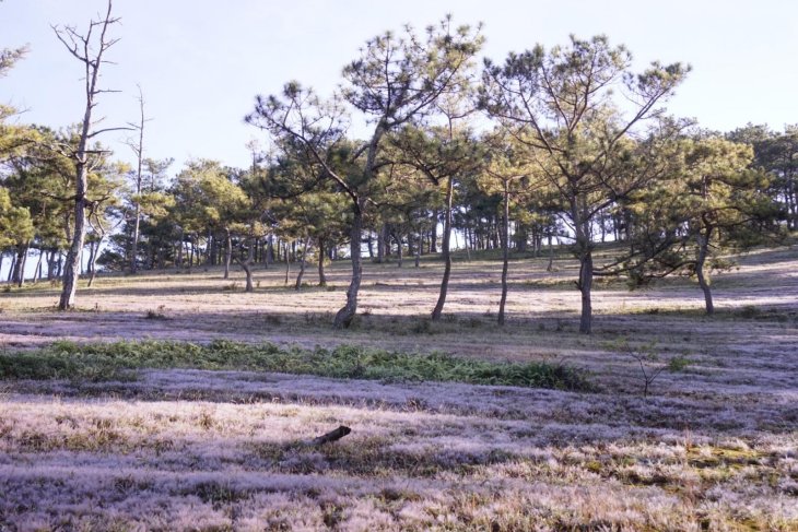 249265085 4259442854184967 9086049532275196019 N