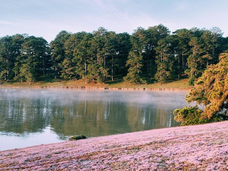 252061350 1730368943815390 1355807510328088151 N