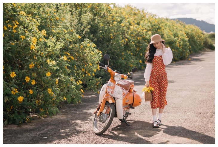 252305147 600342054647805 1248511436143071166 N