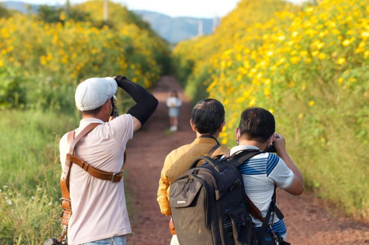 253659493 7136039279755351 4216880421536182842 N