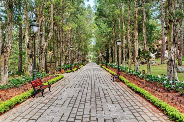 117989227 3006344182825943 6071353868844592104 N