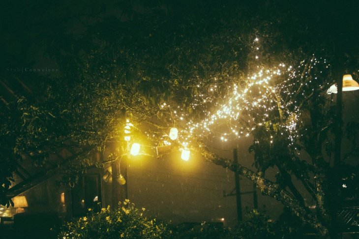 241899037 10217559055962710 7784731875202875142 N