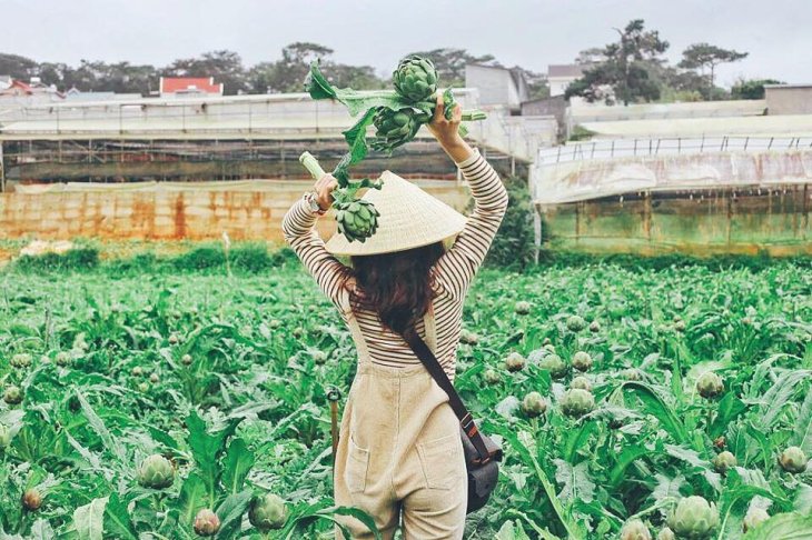 49789389 293369931527426 6022428066146418688 N