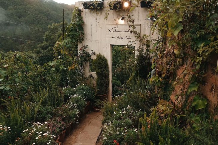 106769013 726817221436963 2916829584489462588 N