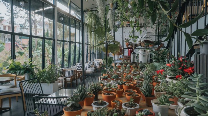 143263968 815944552323237 8998516097108160226 N