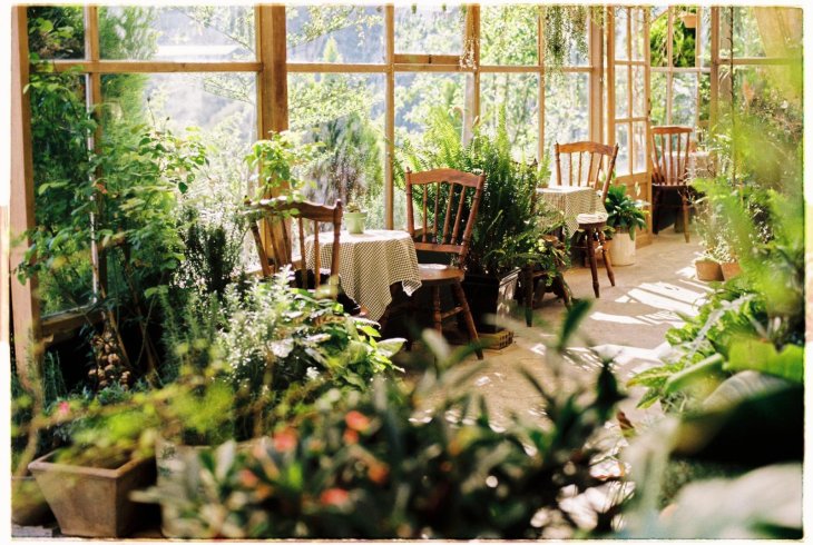 160937278 902262783892405 3395554833191978073 N