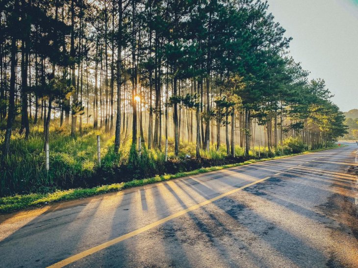 199218569 953432845492760 381771776295831581 N