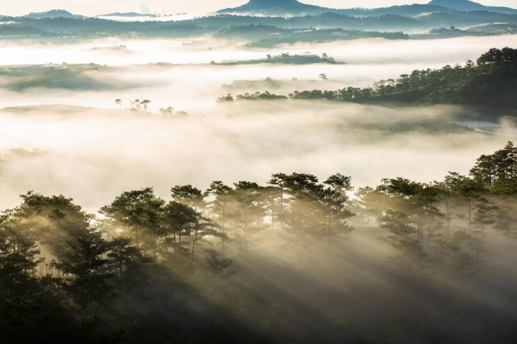 241475485 2295144370622147 201604480090841369 N