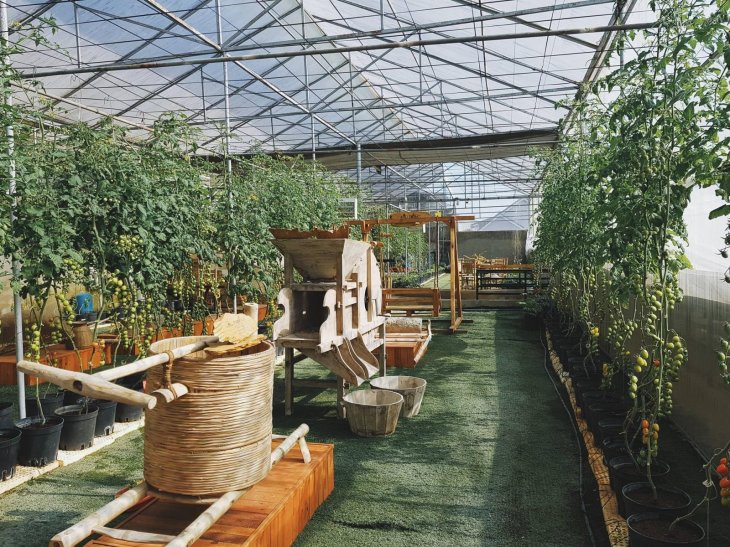 28699389 519837728416752 6823926400650010407 O