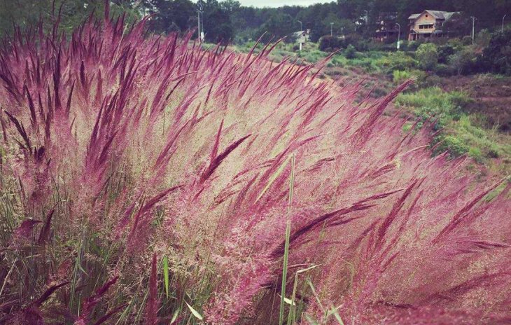 1 C44796c2 4f89 4c42 B41c E2f49c894c42