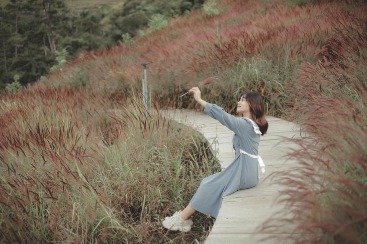 134942106 1534428823422197 5992767263437911133 N