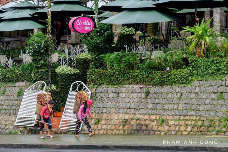 211172479 839188347002173 6036849214324135772 N