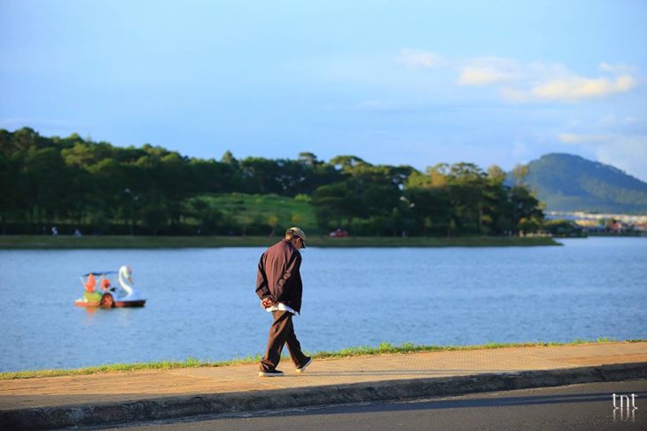 23844762 1178858992246586 7244727441552962621 N