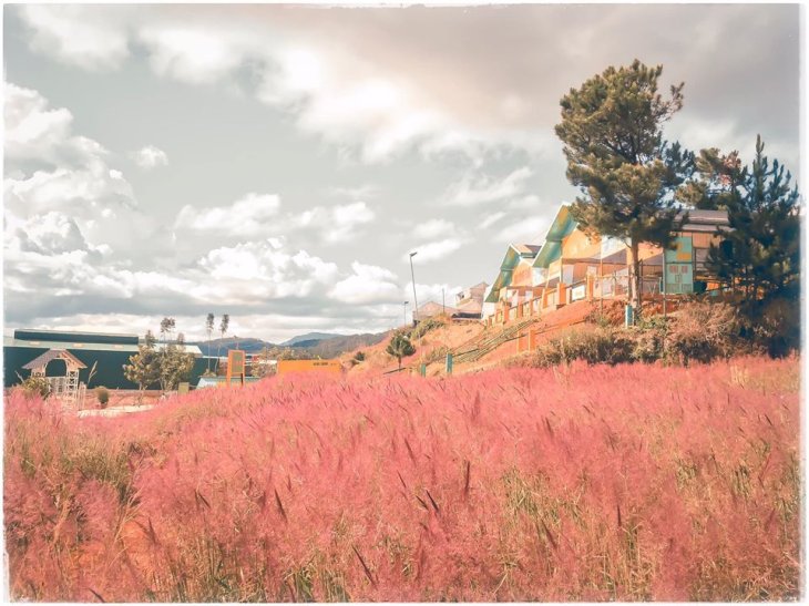 78435676 552513735584675 1559132137003679744 O