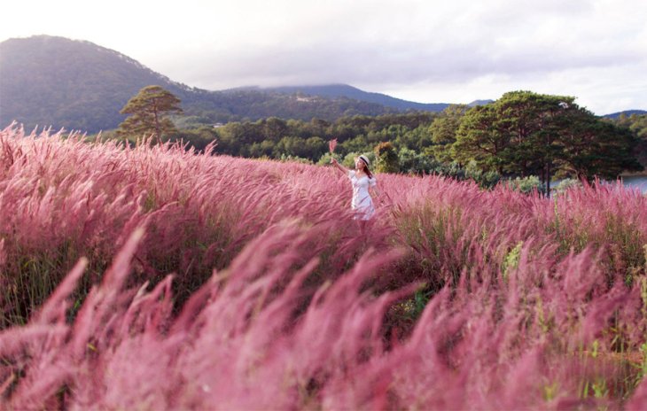 Bia 8a0069ea B19d 4709 A56a 10a99eb3668f