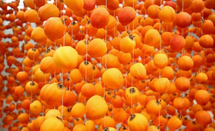 Kham Pha Vuon Hong Treo Gio Doc Dao O Da Lat 11 15