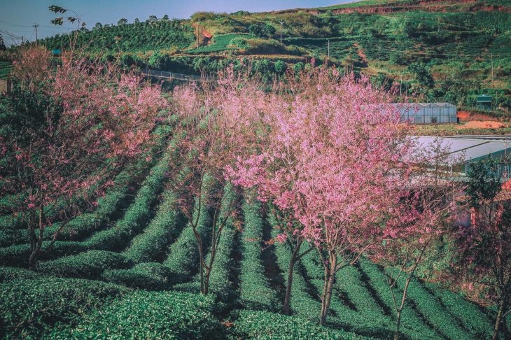 Z2945139784470 Ff87a013a0d2521f1aede2c0ef5fc0c1