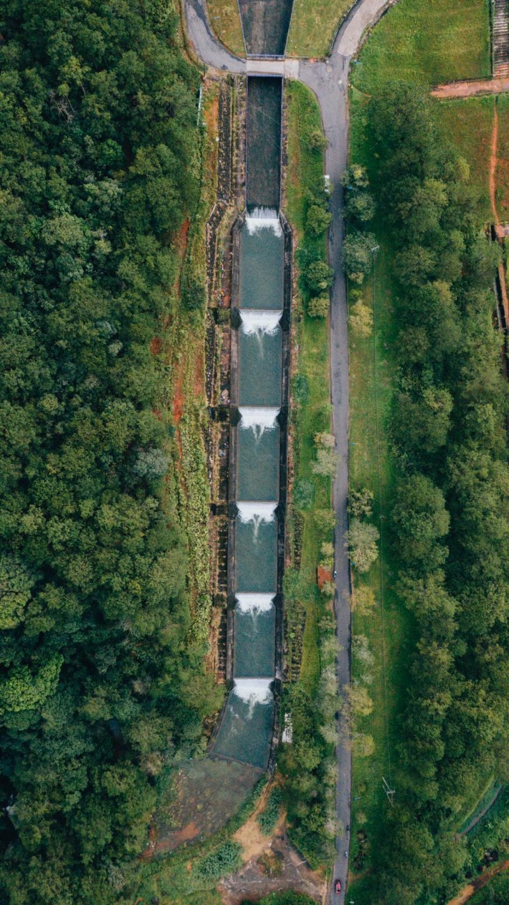 257586123 1248707202267951 8599580645795282578 N