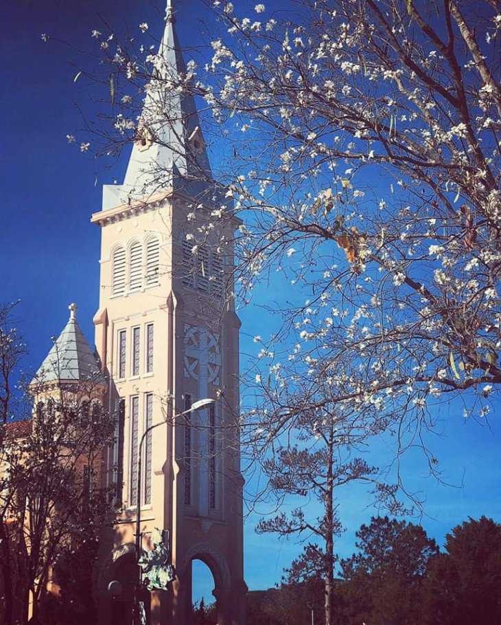 46233678 1387068518095963 6021970738028740608 N