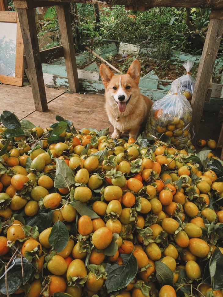 245587869 4749467648418866 3662912454445043224 N