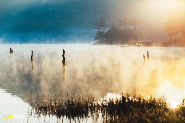 238525134 2240776012725650 5752759863708776972 N