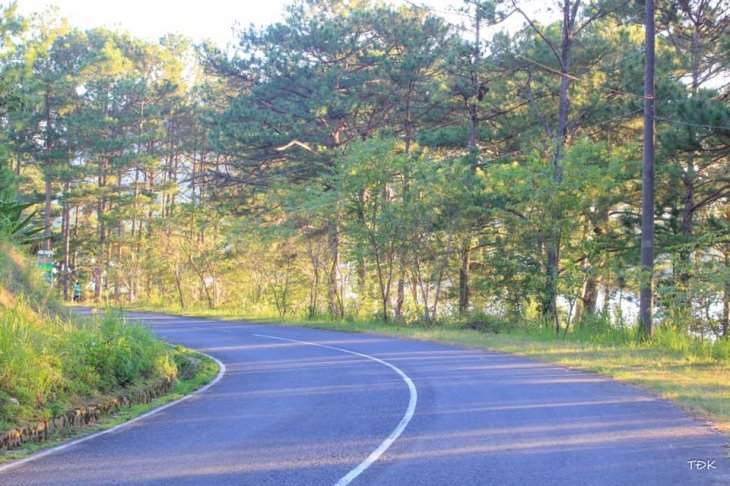 67448630 498747904223556 8578424384589398016 N