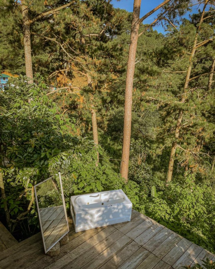 242743167 706445097417280 5737916995122098026 N