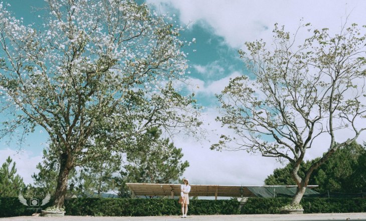 72792573 1537870646374170 8431068527724593152 N