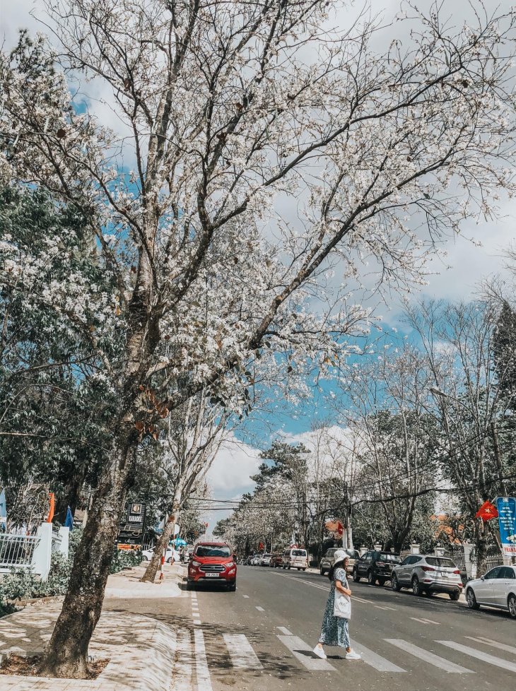 83343220 1955905951220983 3652730124580683776 N