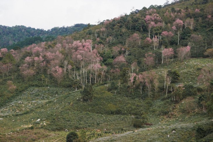 245820949 4221540277975225 3186010074131211279 N