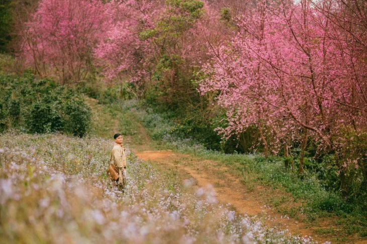 269963033 1073956290107081 4129621295546907742 N