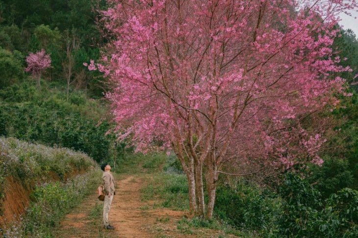 270214506 1073956183440425 8827682938796713239 N