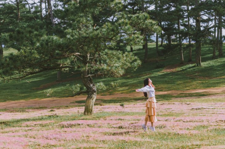 250925997 2303398819796702 6007467457796359515 N