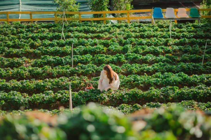 270034316 2877205062571723 8645142138239767957 N