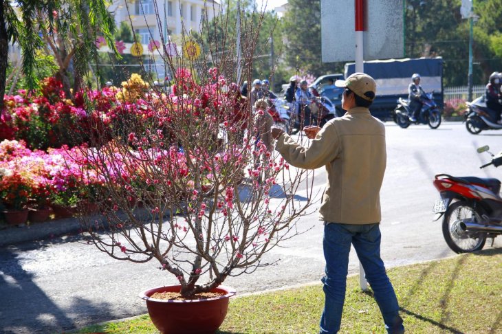 20200113093603 Mg 3389