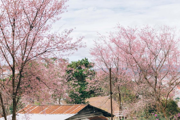 270048709 2350851528384764 7795188664236803514 N