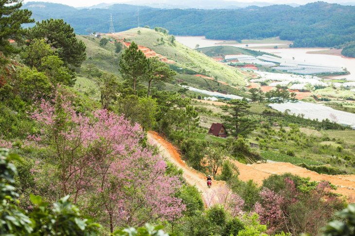 270287212 2351295311673719 8039222489312260736 N