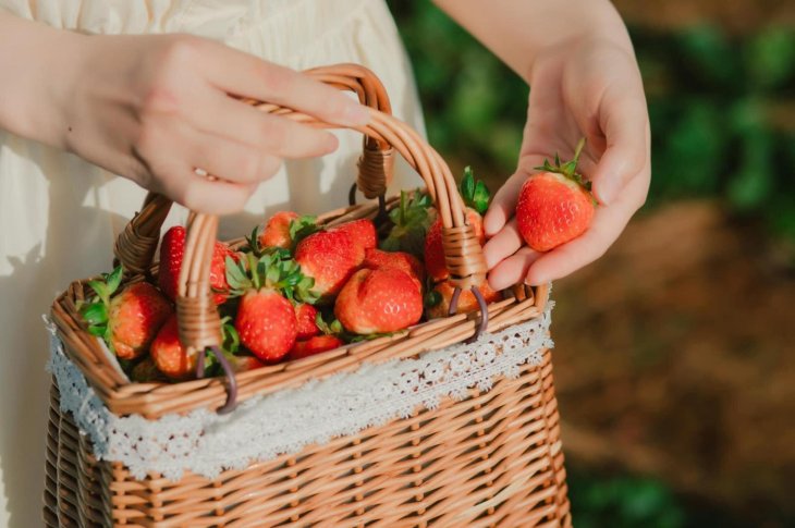 271630744 317060277097909 3905221750598883070 N