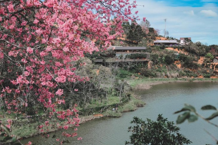 272328442 2768658726771541 5901647594287681789 N