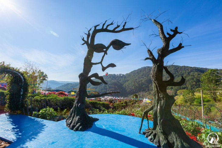 273052334 485722632916572 328672229305525074 N