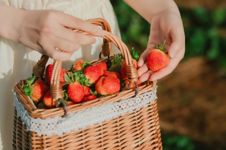 270418345 311462760990994 4191470479325415019 N