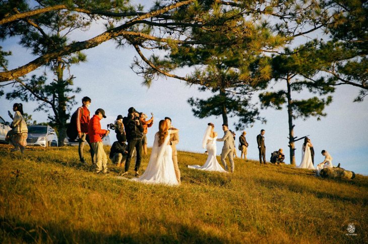 258844849 4879039092128387 1722000779581089809 N