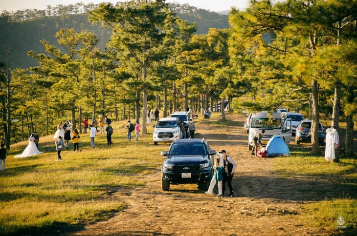 259283614 4879034292128867 4393179757373877269 N