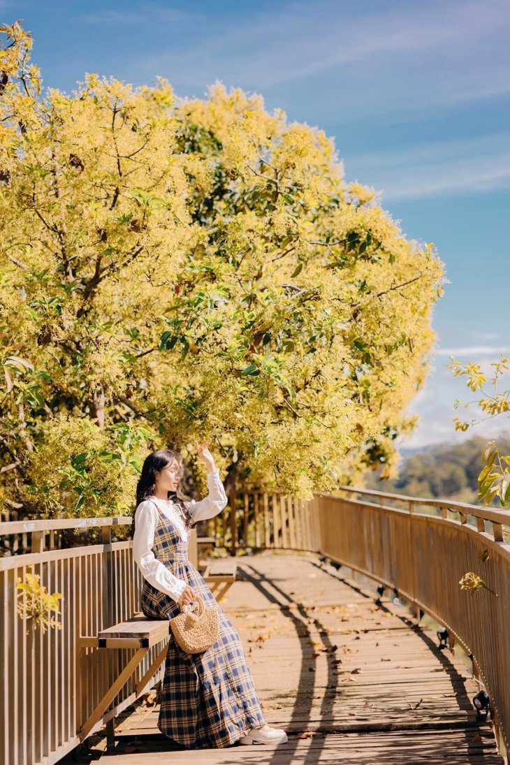 274655879 1110459066456803 8366060402267713700 N