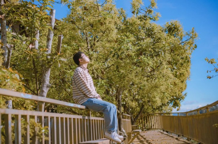 274722270 2790989454538468 7033779186601810283 N