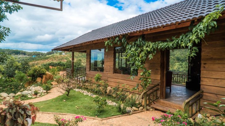 67456356 146171293137007 7156352500906328064 O