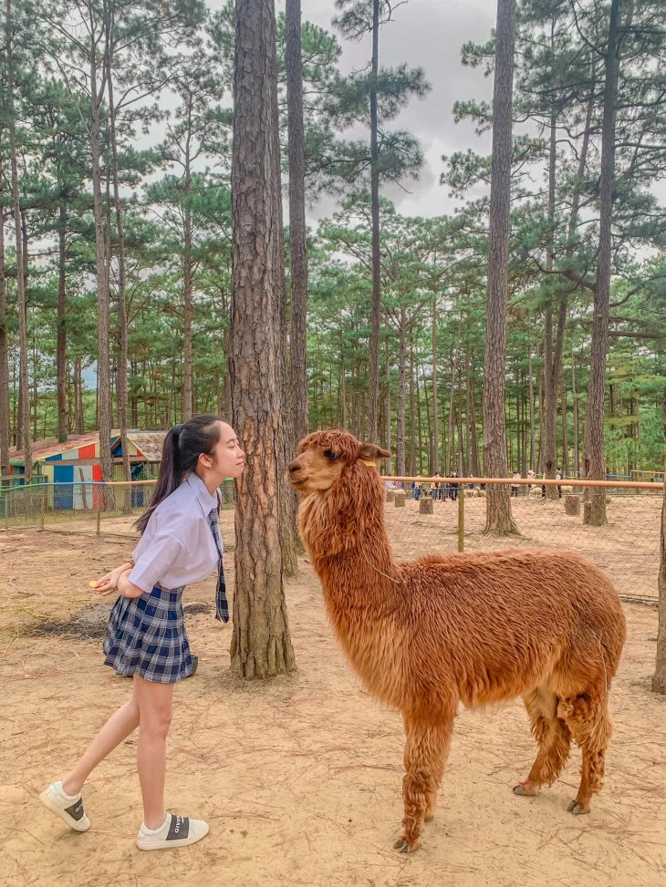 273548618 2065062386987915 6183728269025441974 N