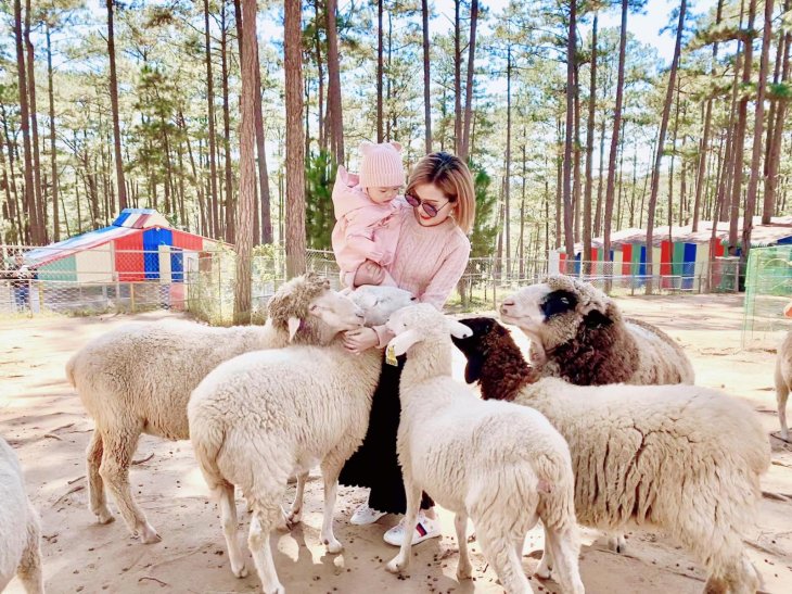 81845652 10157373577875971 786129510822051840 N