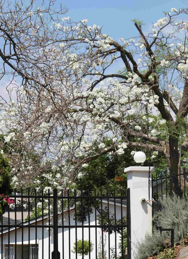 605912fc 9134 407e A7ef 056b58b1f847