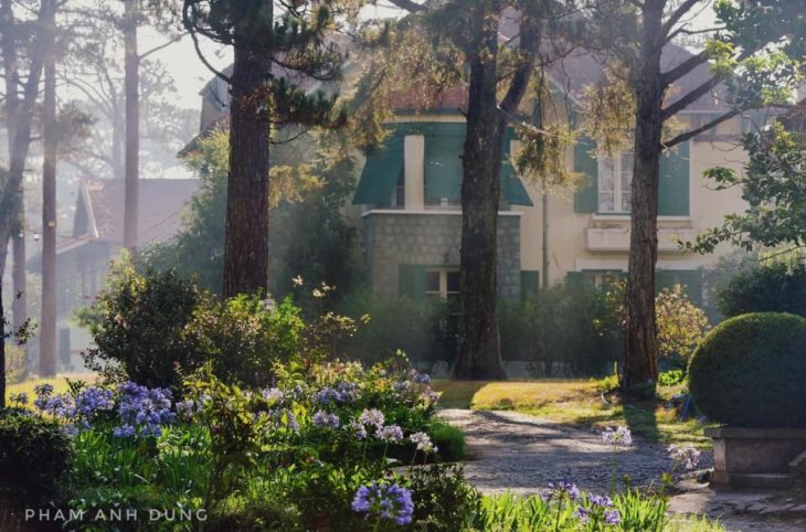 245482625 4459080207516001 2862357526664943183 N